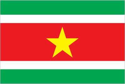 Flag of Suriname